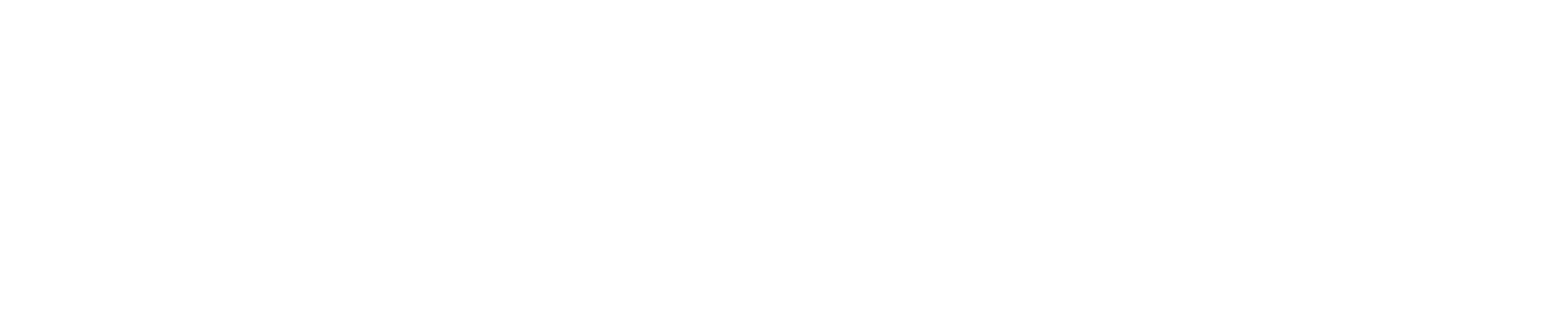 logo 2a